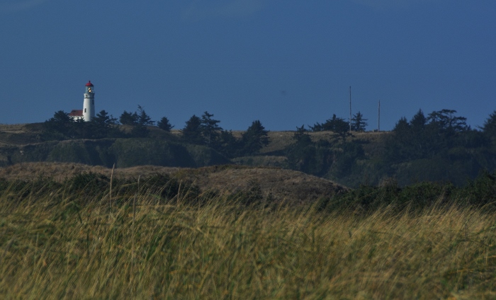 view of the lighthouse from the river